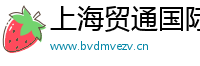 上海贸通国际展览服务有限公司